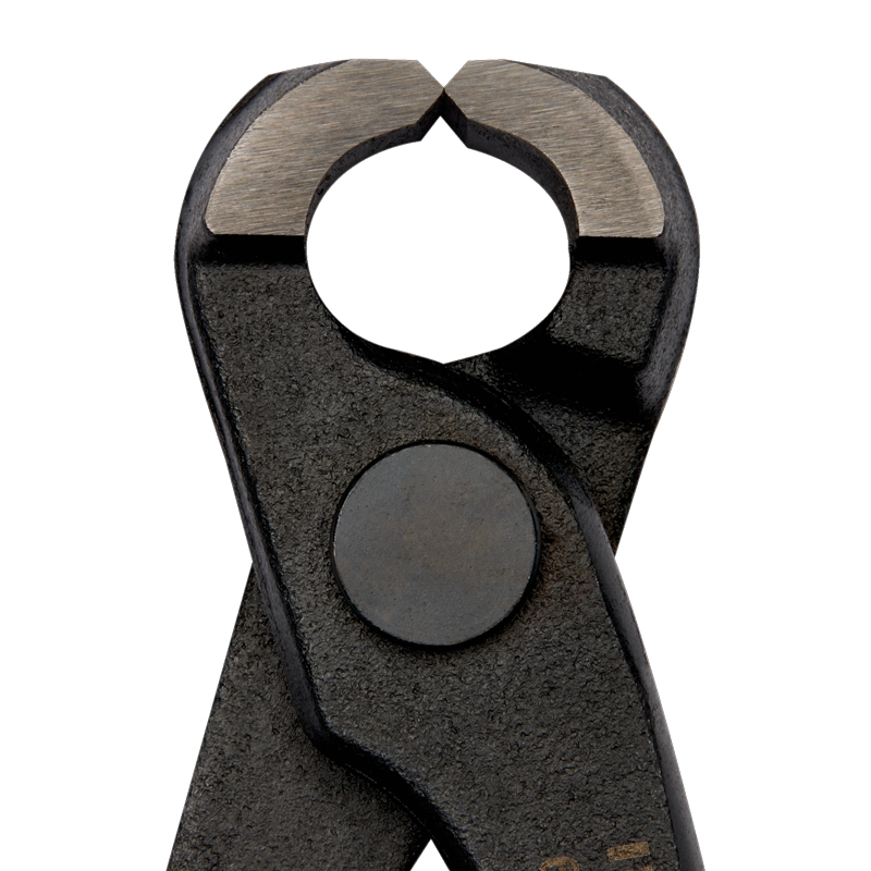 16538-tenazarusad-16539