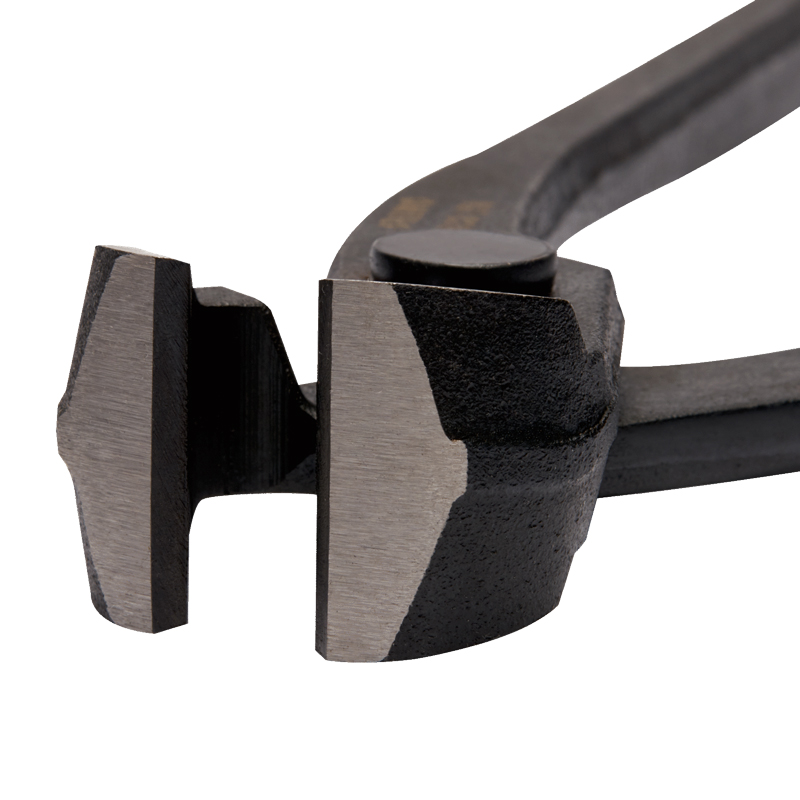 16538-tenazarusad2-16539