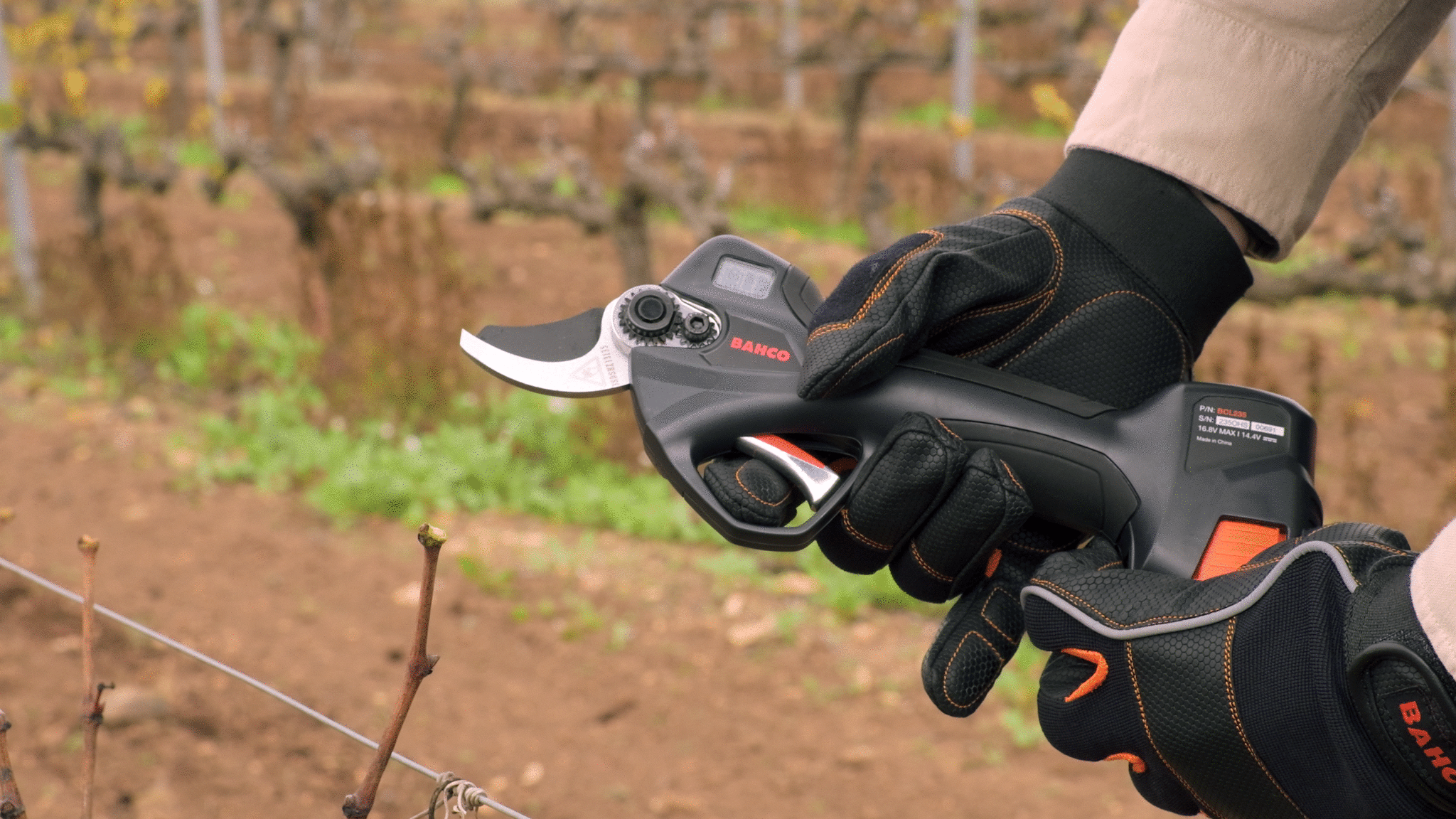 196f6f12d0acaa3a (1)